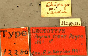 Media type: image; Entomology 12286   Aspect: labels